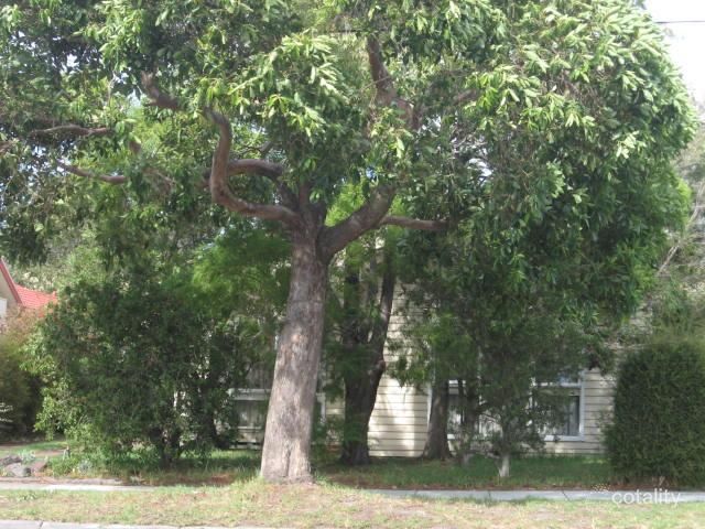 52 Brewer Rd, Bentleigh, VIC 3204