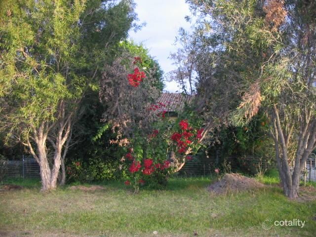 8 Merrendale Ave, Gorokan, NSW 2263