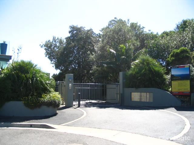 24 Molong St, North Curl Curl, NSW 2099