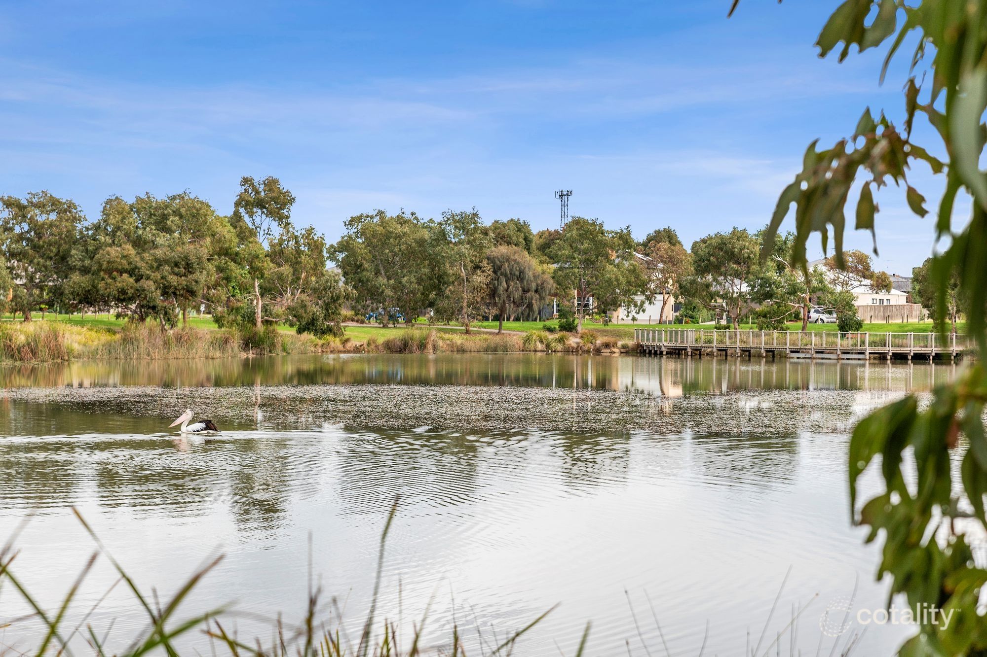 16 Rosewood Dr, Ocean Grove, VIC 3226