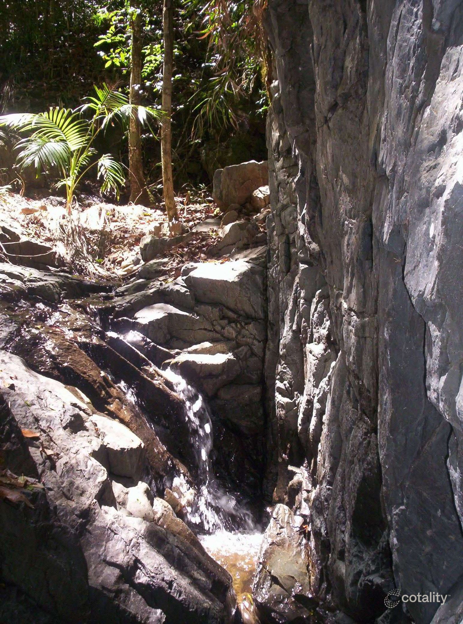 543 Upper Pinbarren Creek Rd, Pinbarren, QLD 4568