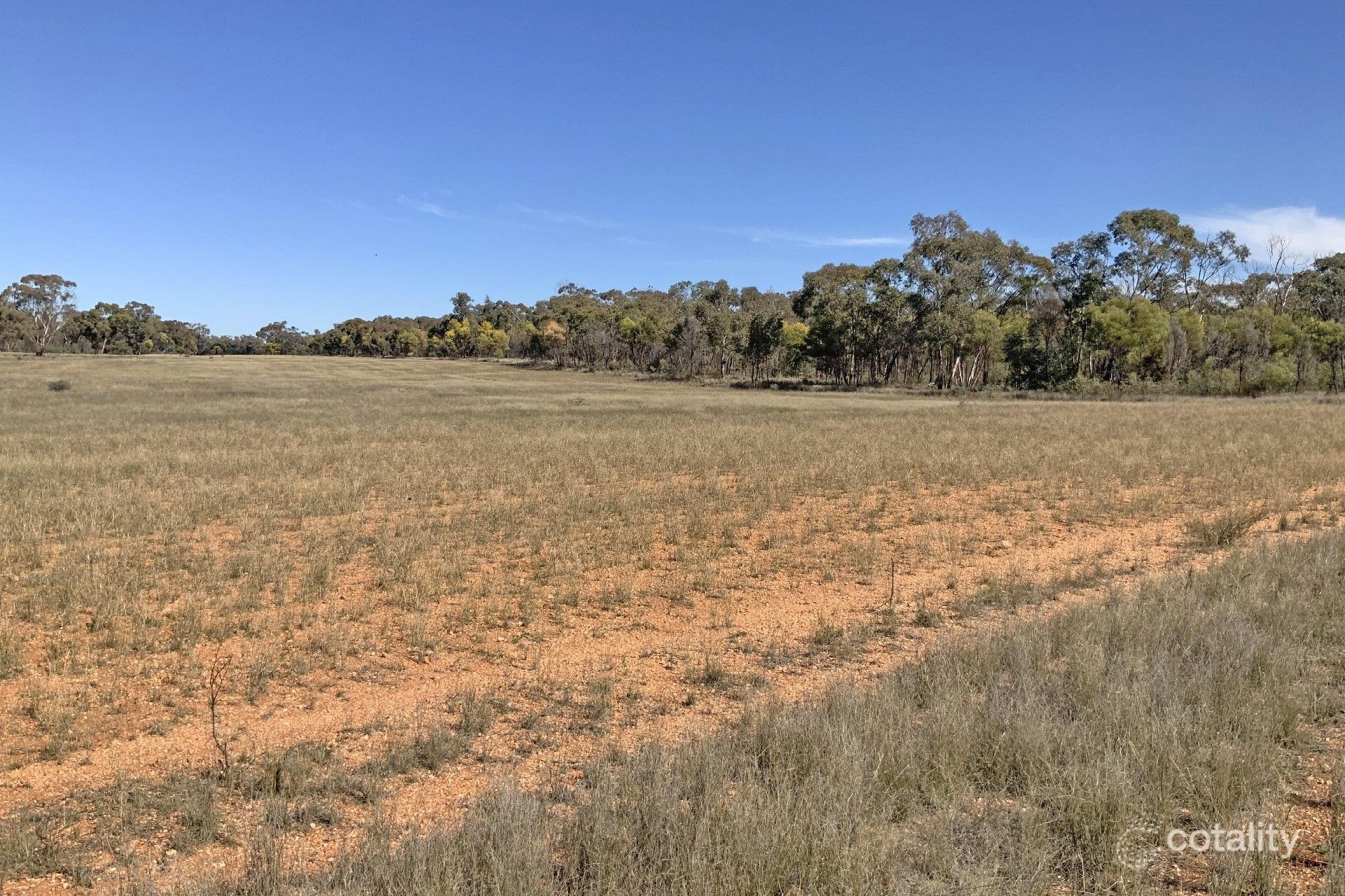 703 Yethra Rd, Tullamore, NSW 2874
