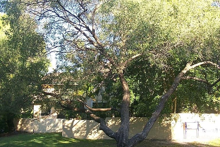 12/1 Kareela Ave, Noosa Heads, QLD 4567