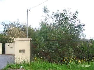 98 Cabbage Tree Rd, Ingleside, NSW 2101