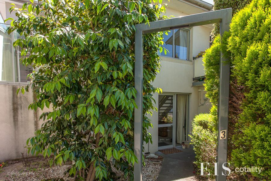 3/30a Pillinger St, Dynnyrne, TAS 7005