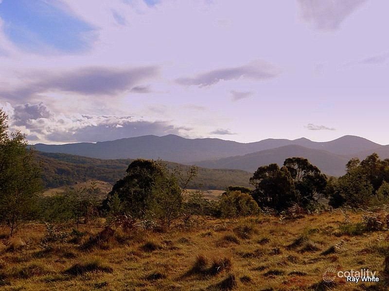 86 Grey Gums Rd, Majors Creek, NSW 2622