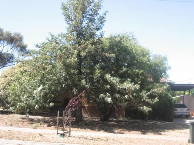 383 Wright Rd, Valley View, SA 5093