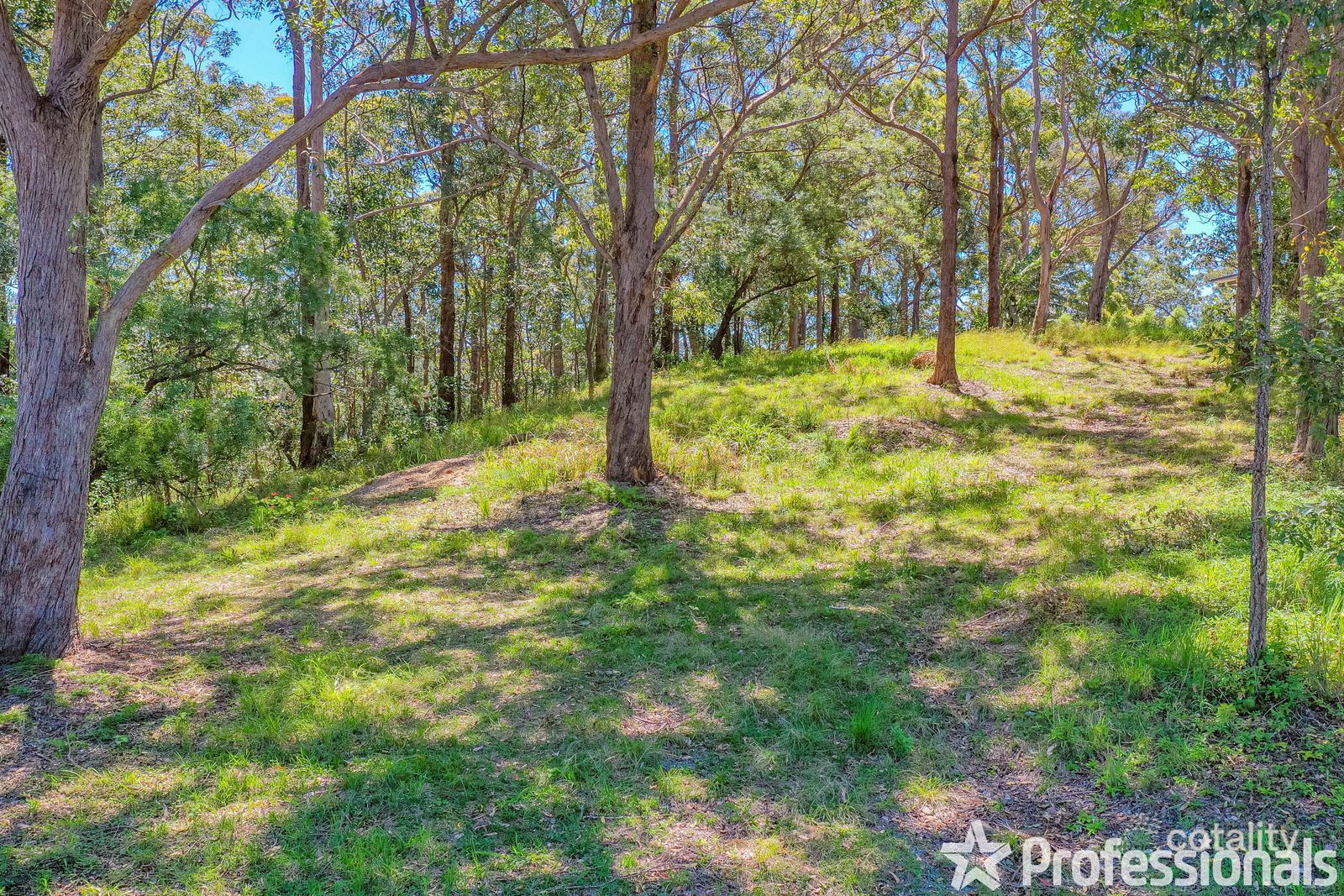 260-262 Guanaba Rd, Tamborine Mountain, QLD 4272