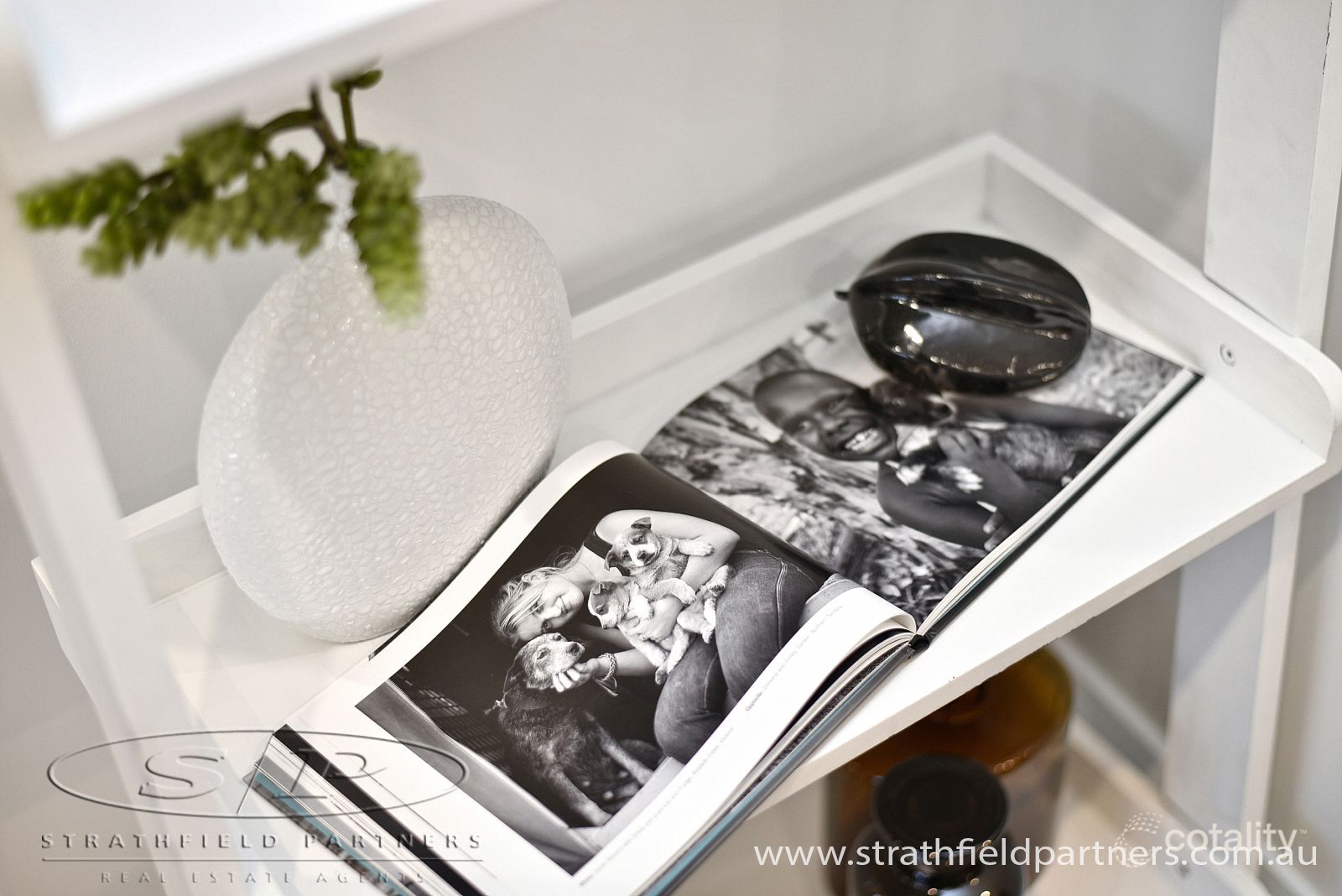 301/120 Wentworth Rd, Burwood, NSW 2134