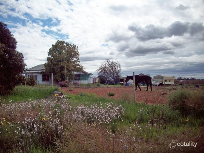 47 Azolia St, Red Cliffs, VIC 3496