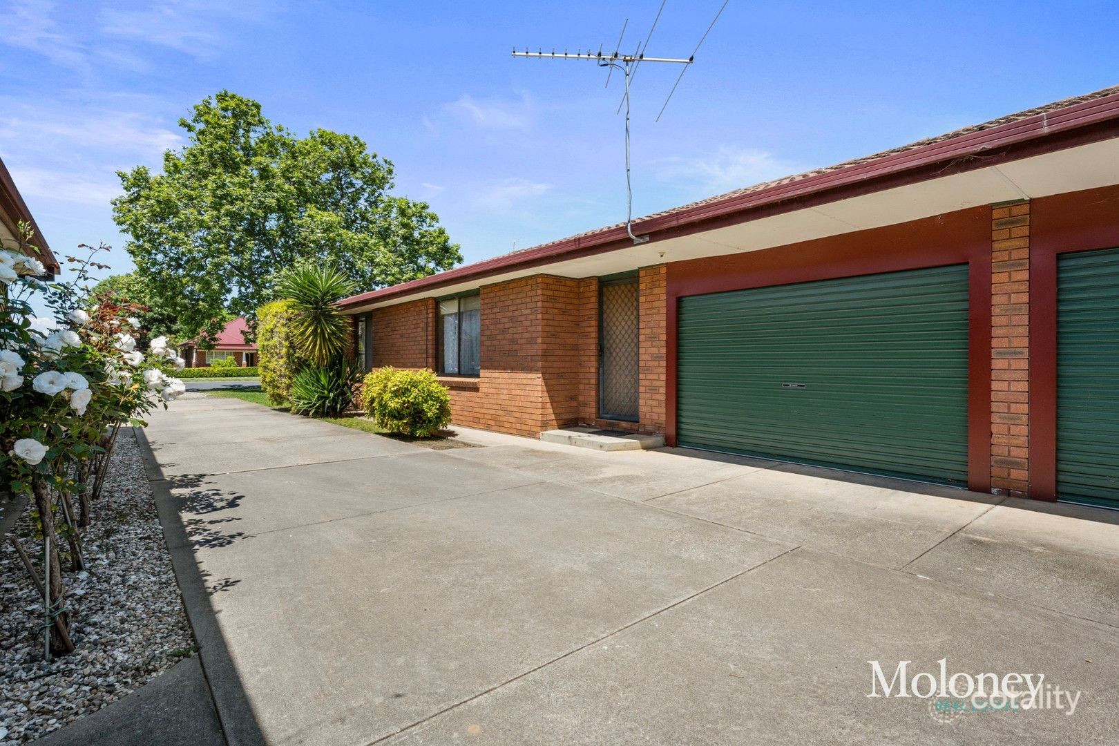3/9 Edward St, Corowa, NSW 2646