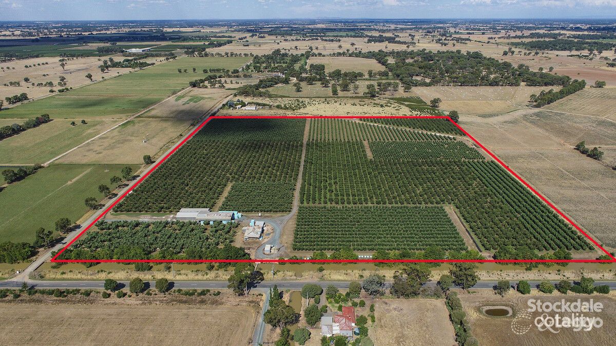 970 Byrneside-Kyabram Rd, Merrigum, VIC 3618