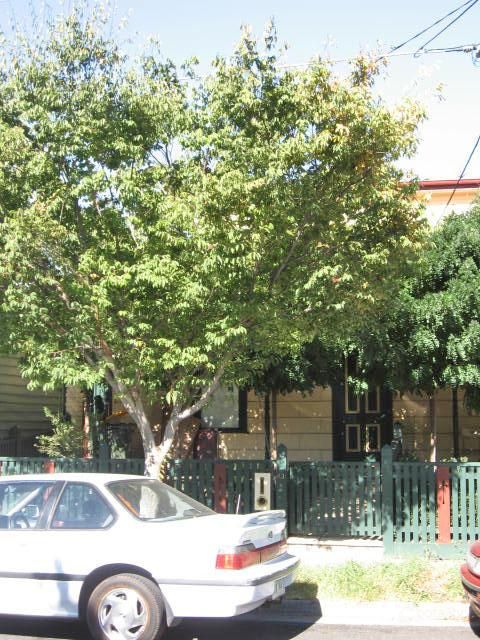 43 Green St, Cremorne, VIC 3121