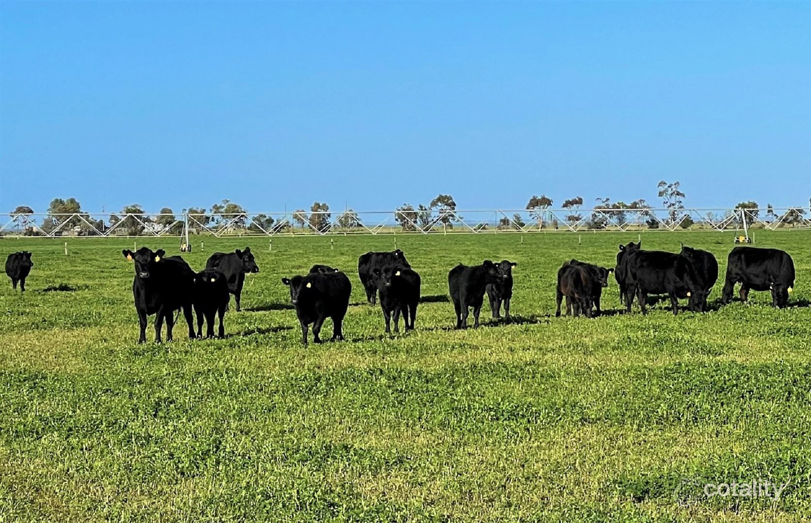 793 Lake Rd, Tolderol, SA 5256