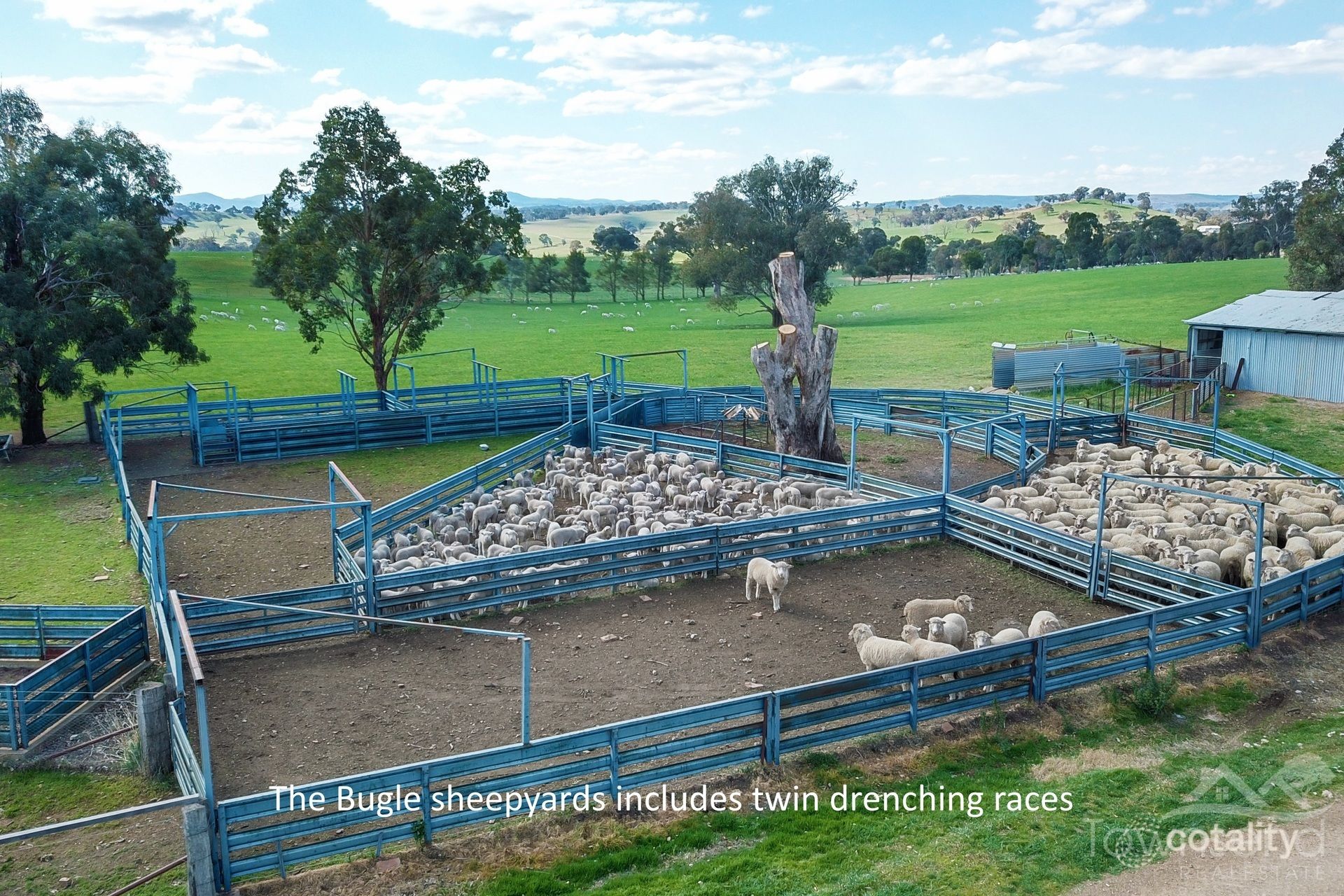 2772 Four Mile Creek Rd, Panuara, NSW 2800