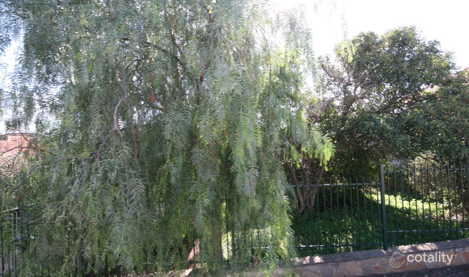 30 Cochrane Tce, Prospect, SA 5082