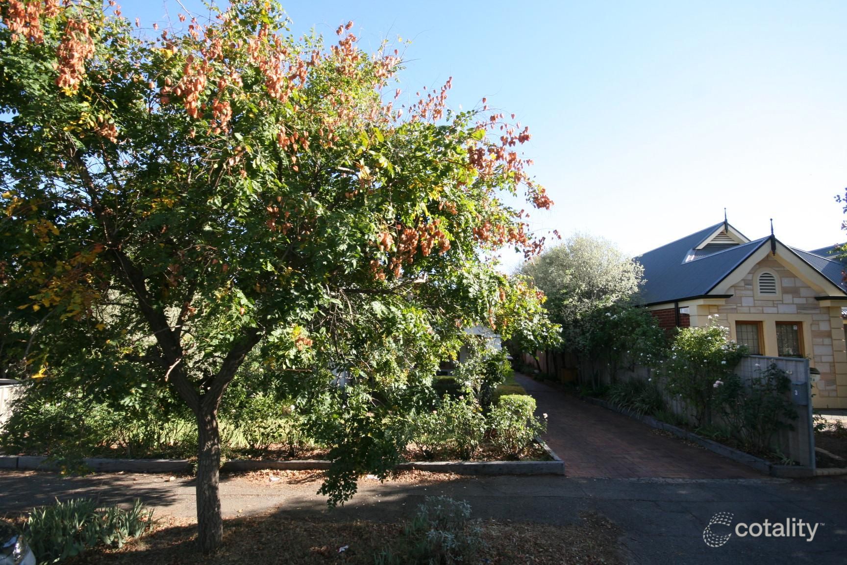 3 Somerset Ave, Cumberland Park, SA 5041