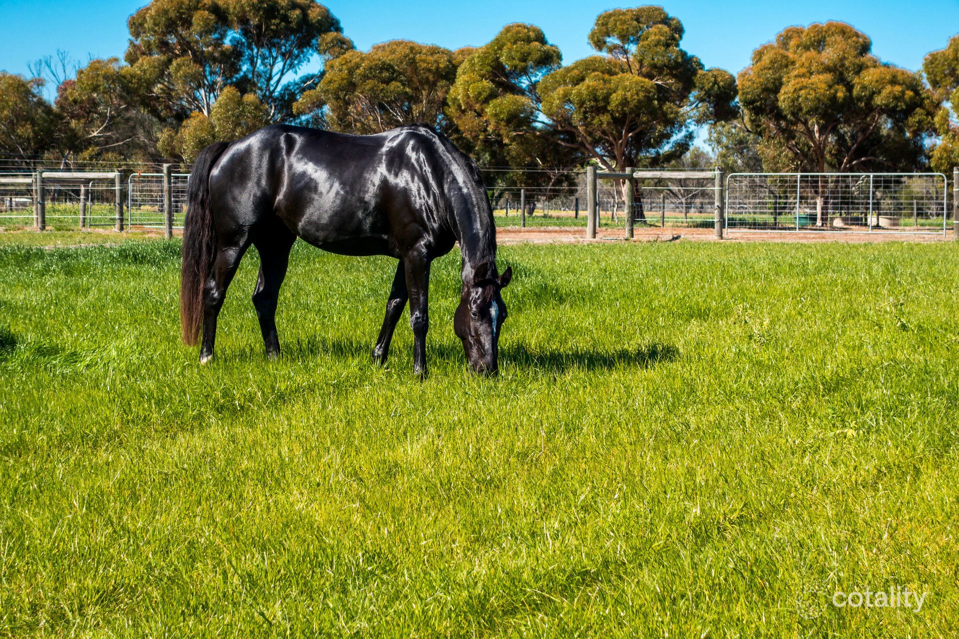 5499 Great Southern Hwy, Gwambygine, WA 6302