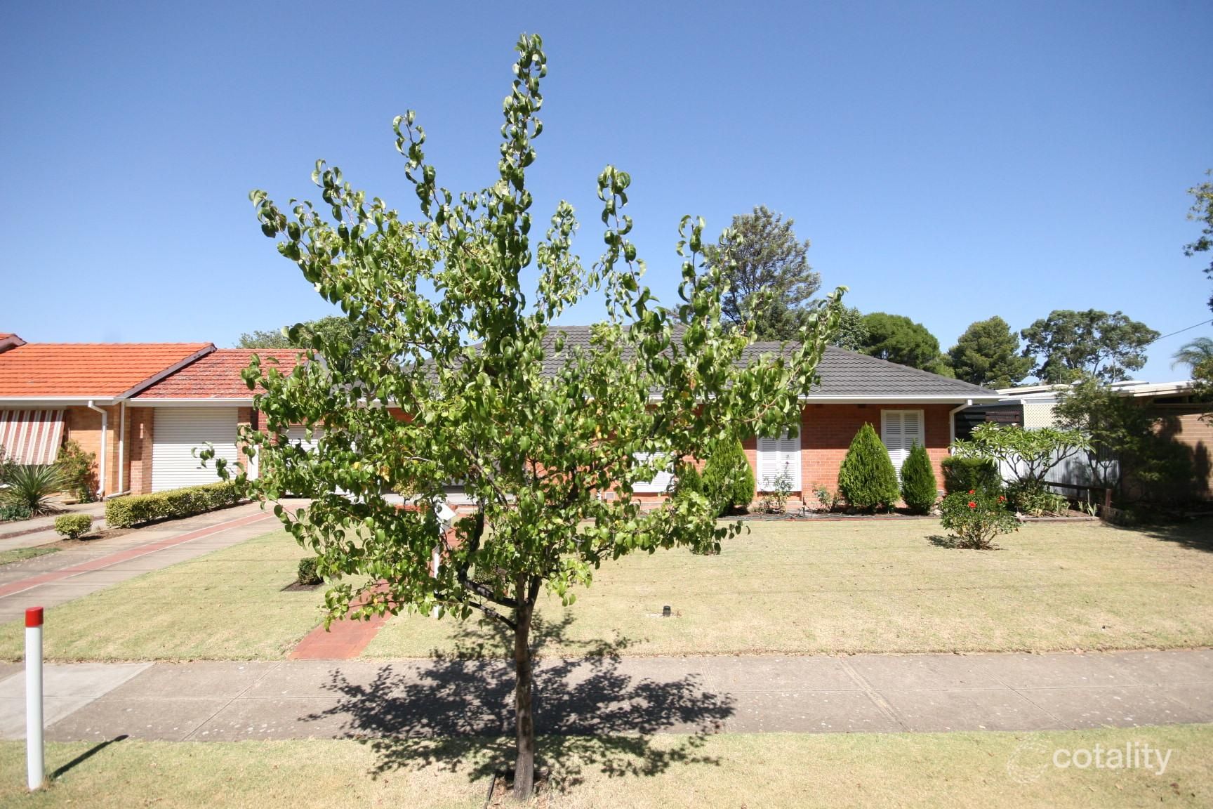 94 Bonython Ave, Novar Gardens, SA 5040