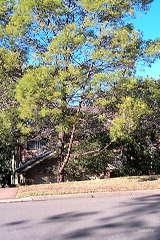 12 Carinda Dr, Glenhaven, NSW 2156