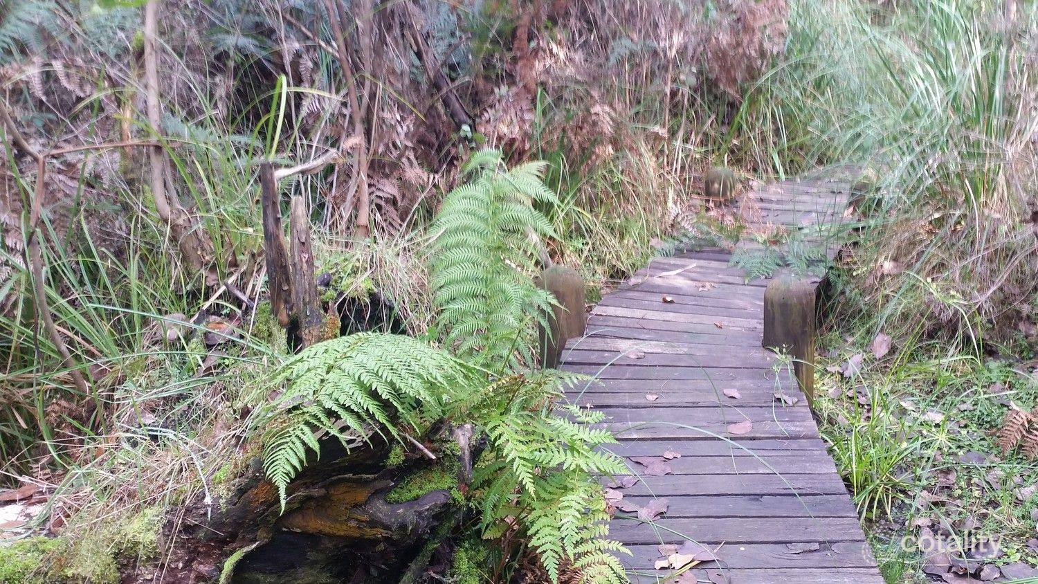 69 Falls Rd, Marysville, VIC 3779