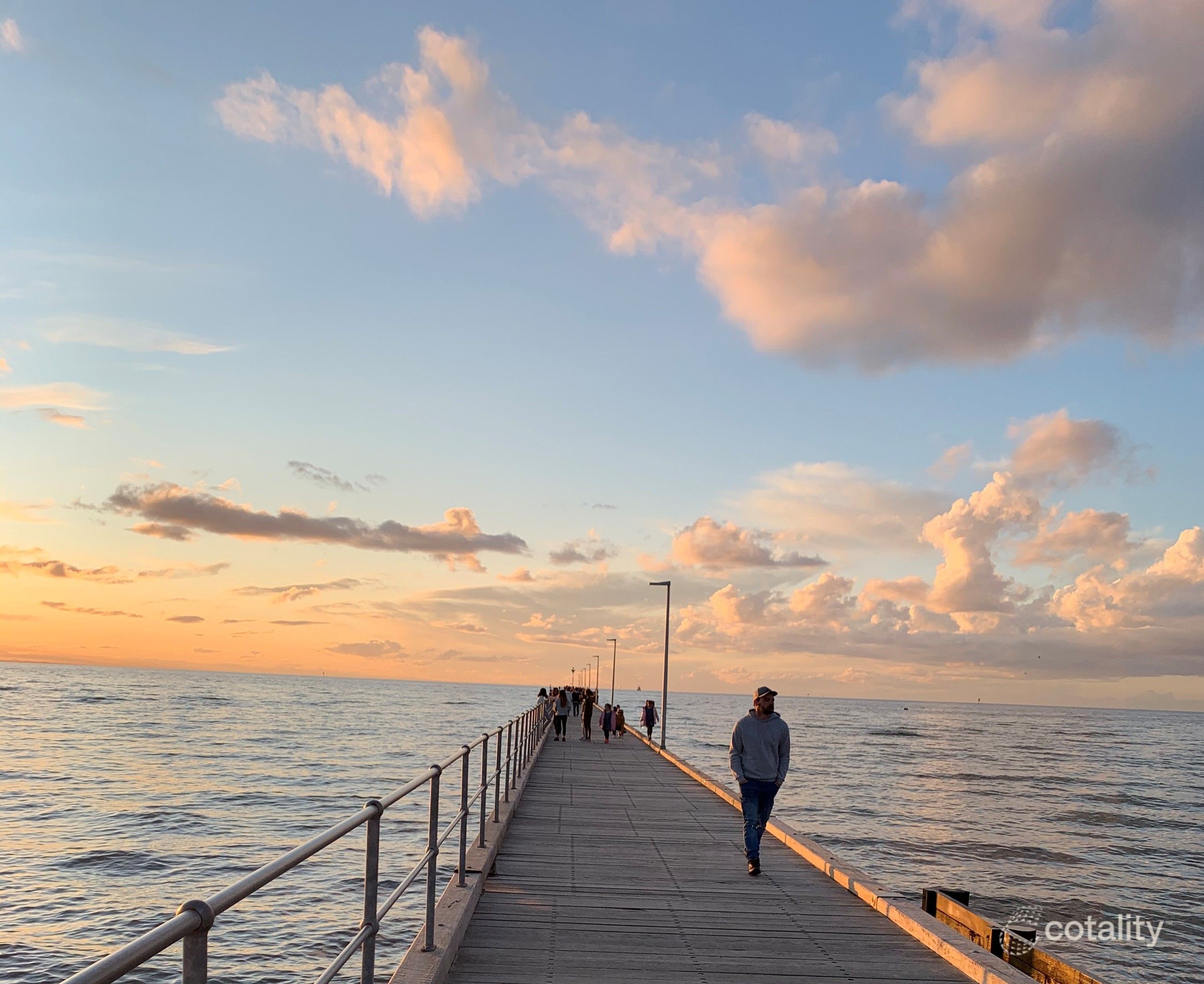 58 Miranda Cres, St Leonards, VIC 3223