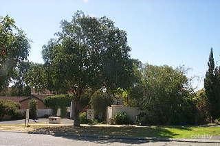 7 Raymond St, Yokine, WA 6060