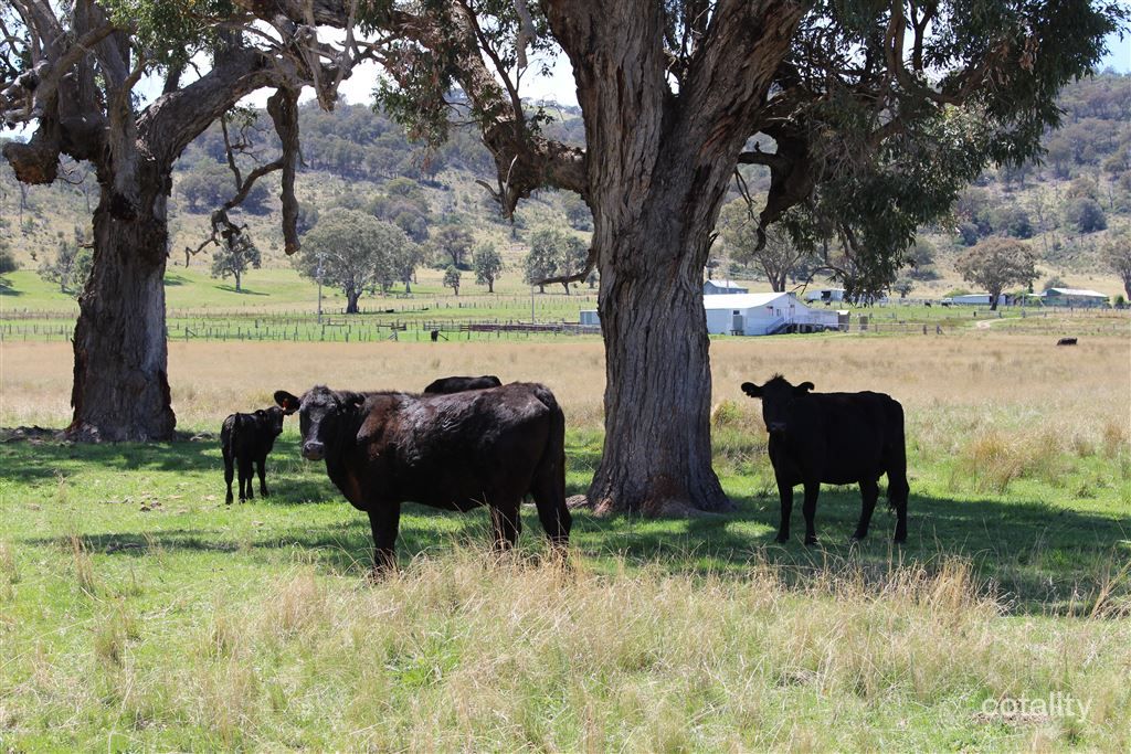 513 Johnsons Rd, Yarrowyck, NSW 2358