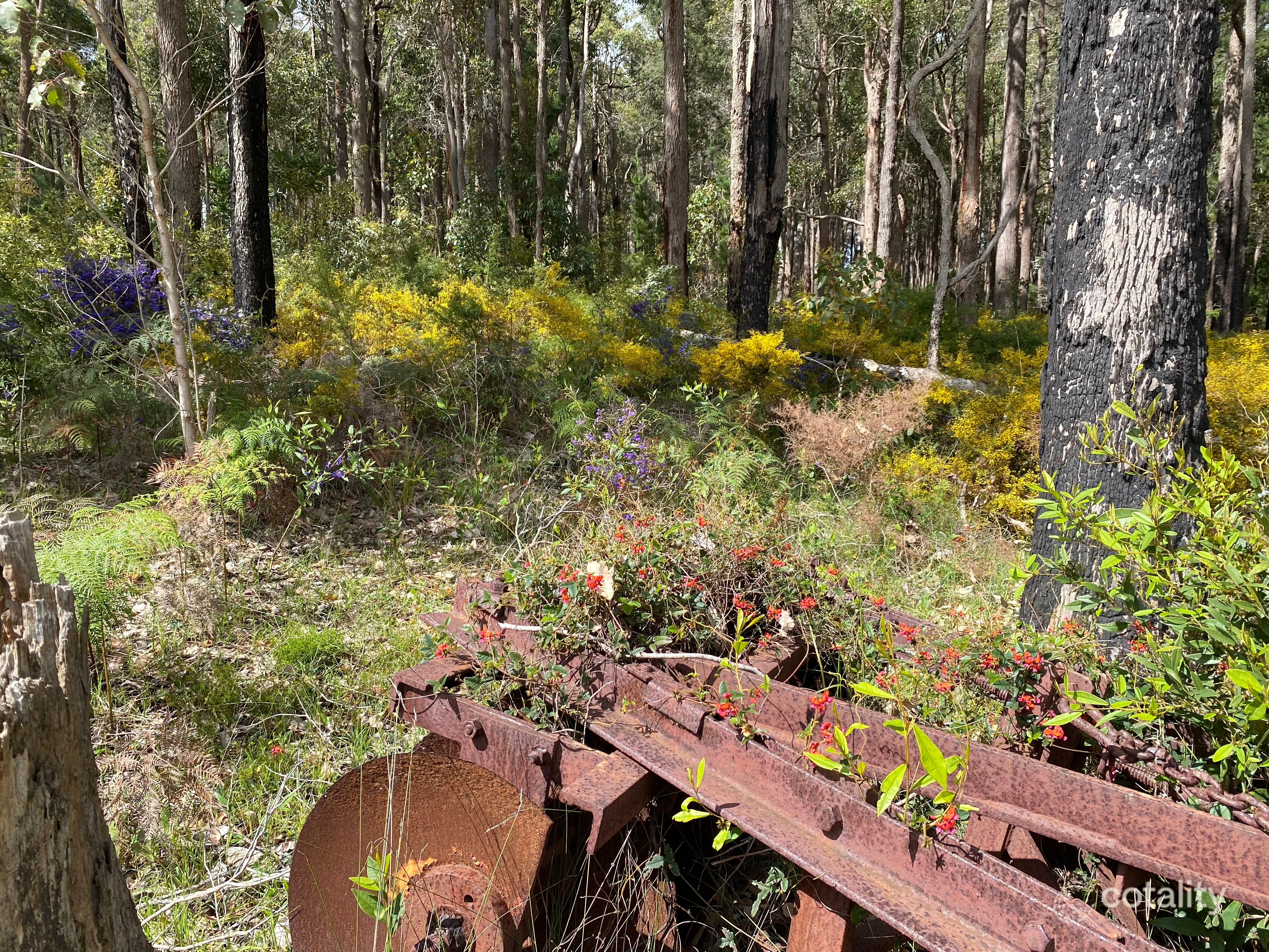 Lot 10838 Piano Gully Rd, Middlesex, WA 6258