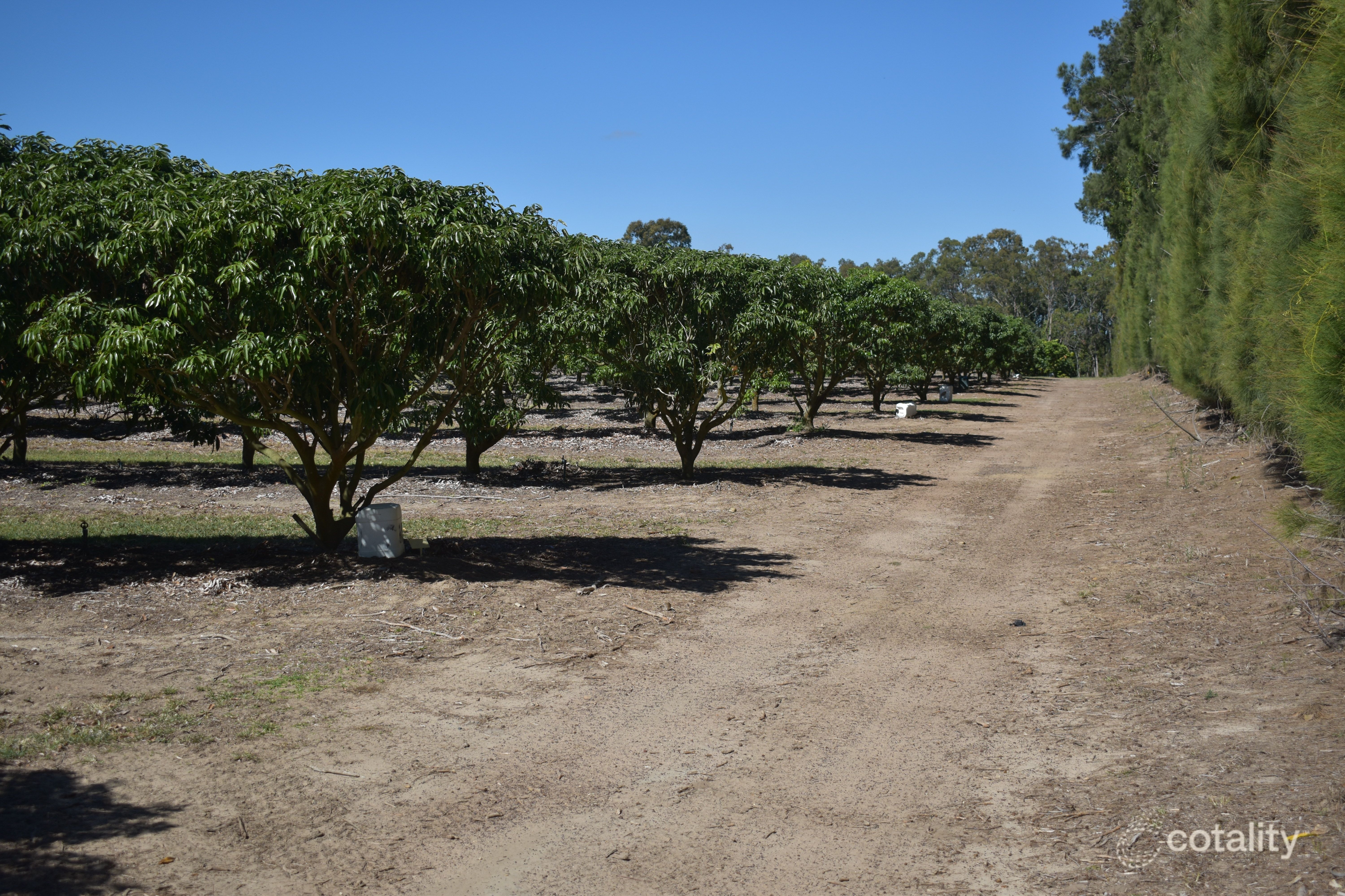 173 Bonels Rd, Welcome Creek, QLD 4670