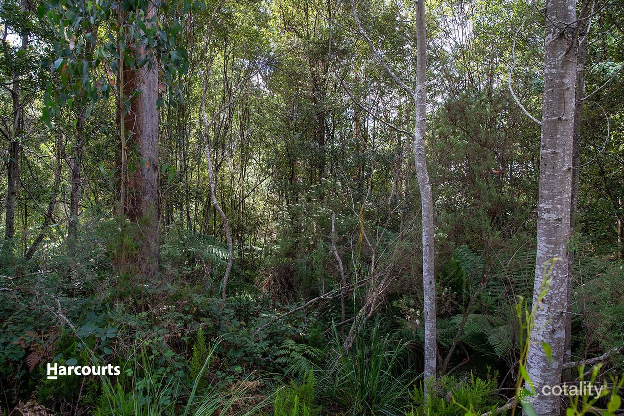 14 Chambers Rd, Franklin, TAS 7113