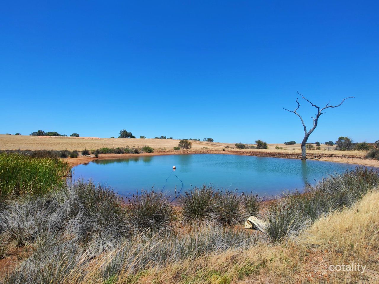 496 North Rd, Wannamal, WA 6505
