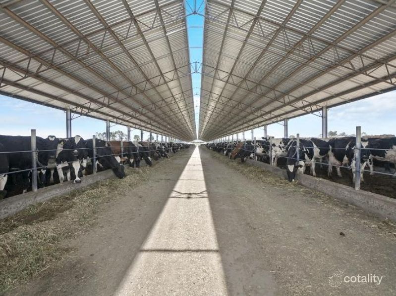 315 Fidge Rd, Undera, VIC 3629