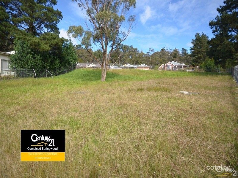 25 Log Bridge Pl, Hazelbrook, NSW 2779