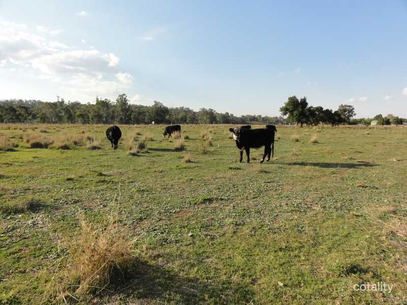 2421 Humula Rd, Tarcutta, NSW 2652