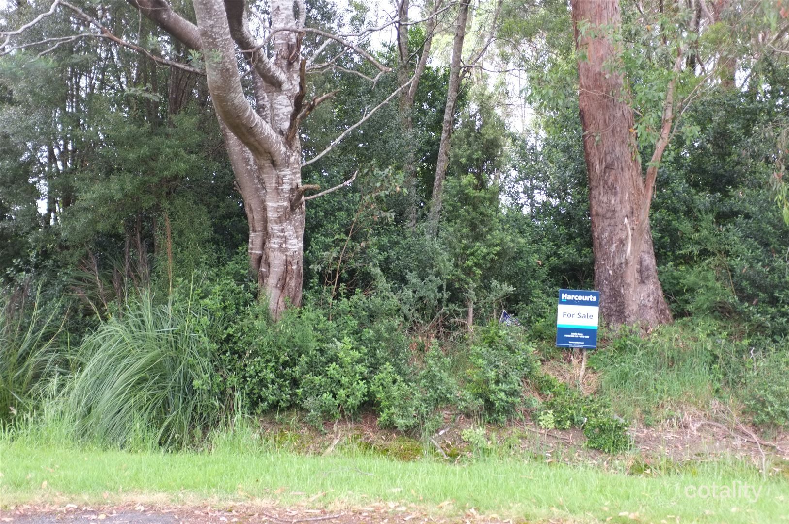 17 Adams St, Zeehan, TAS 7469