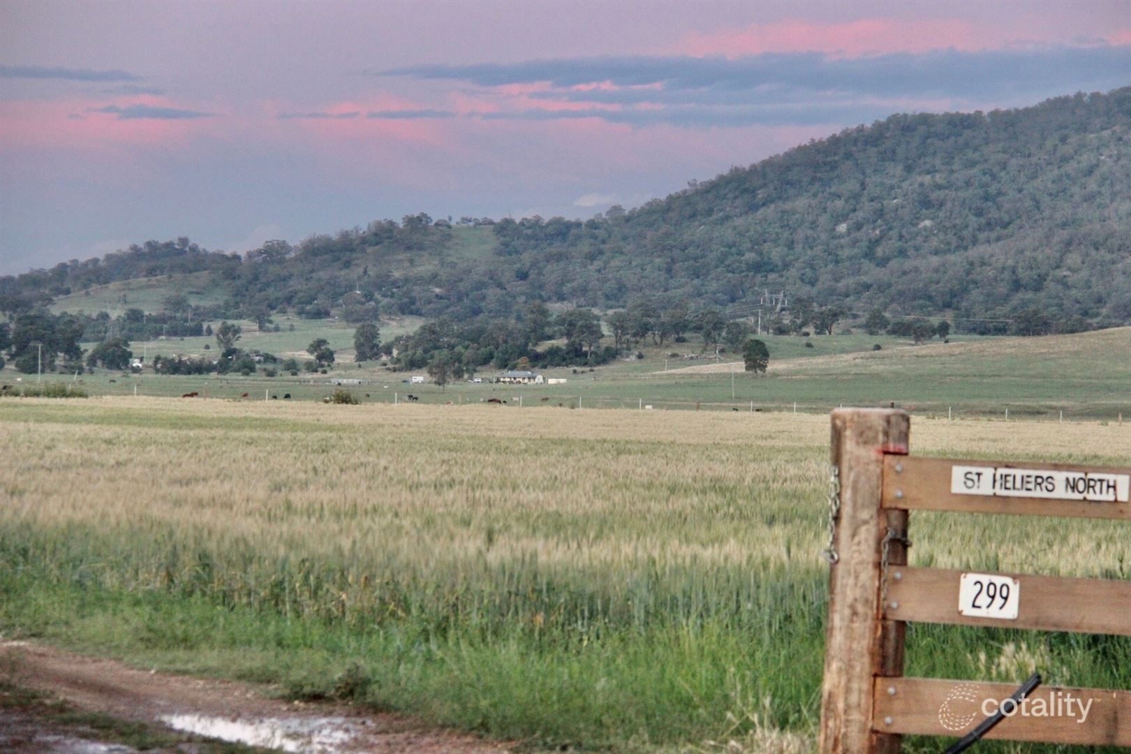 299 St Heliers Rd, Mccullys Gap, NSW 2333