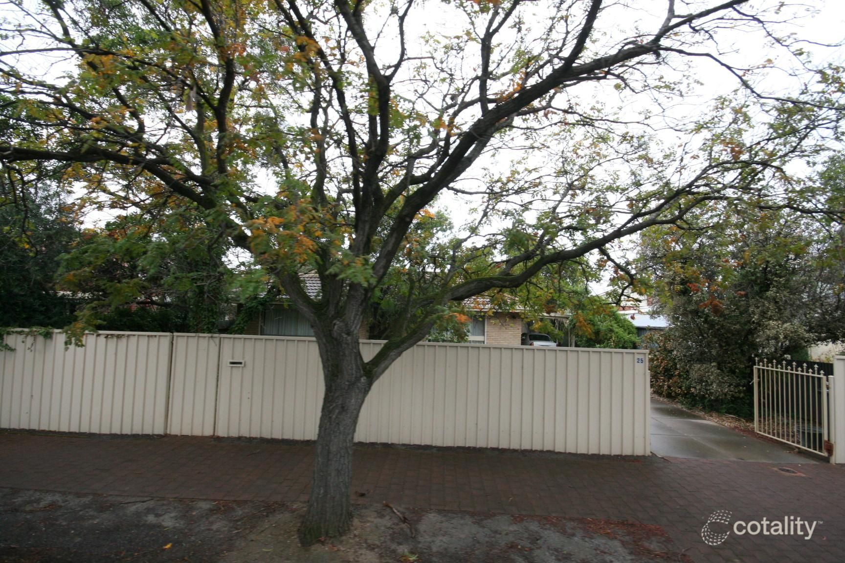 25 First Ave, Forestville, SA 5035