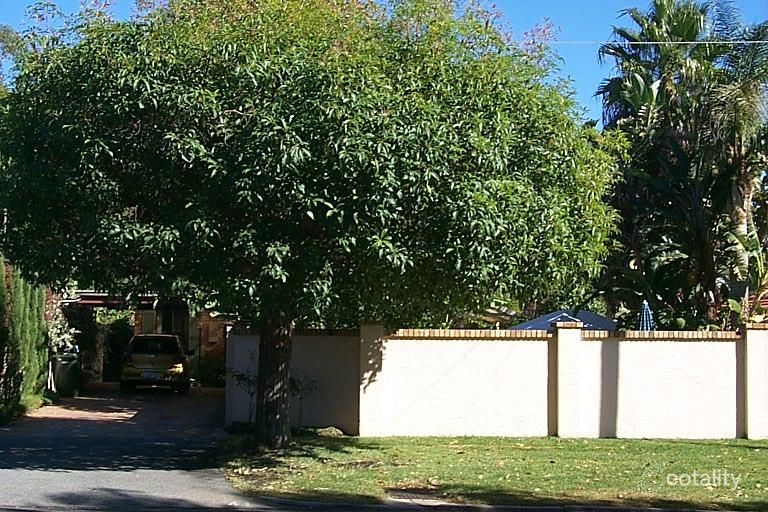 41 Napier St, Nedlands, WA 6009