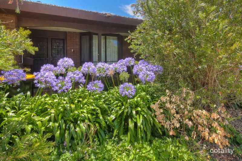 111 Princes Hwy, Port Fairy, VIC 3284