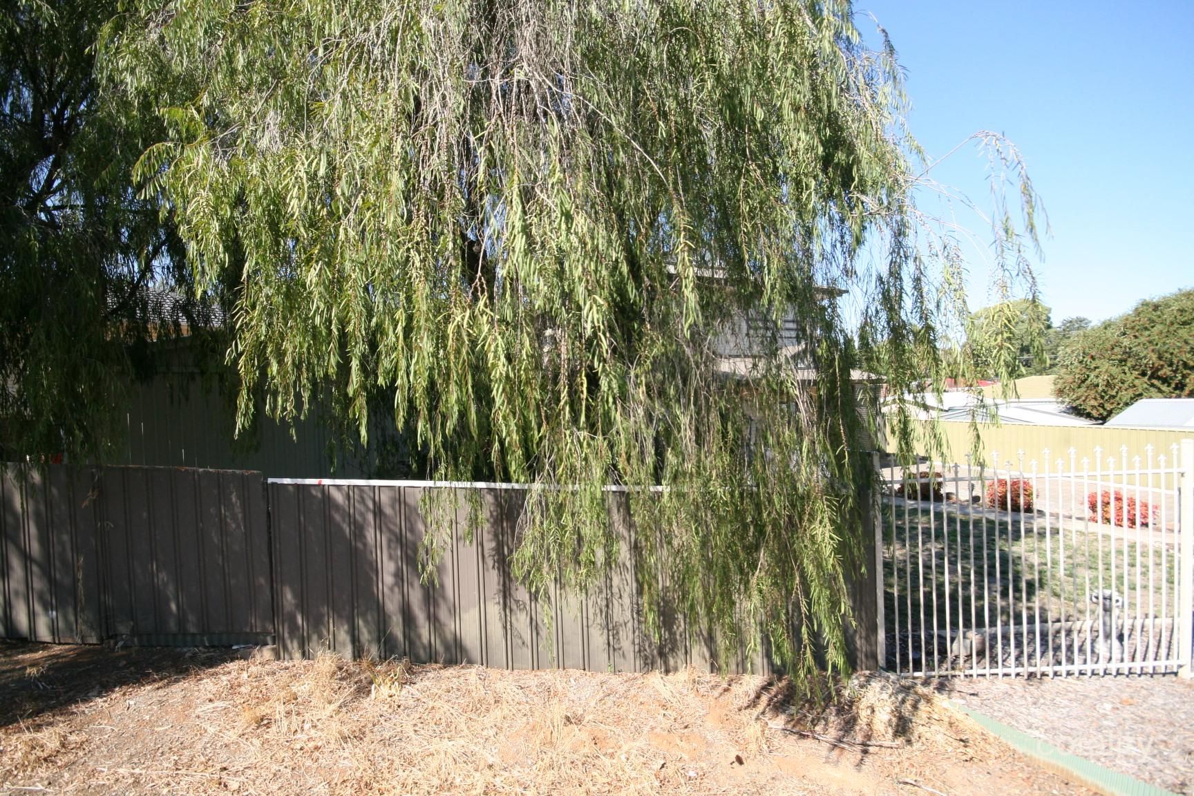 14 Edinburgh Cres, Old Reynella, SA 5161