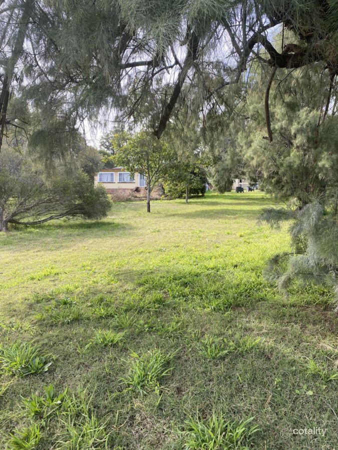 3 Coral St, Willow Tree, NSW 2339