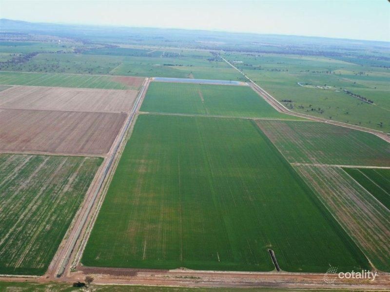 771 Mcphies Rd, Garema, NSW 2871