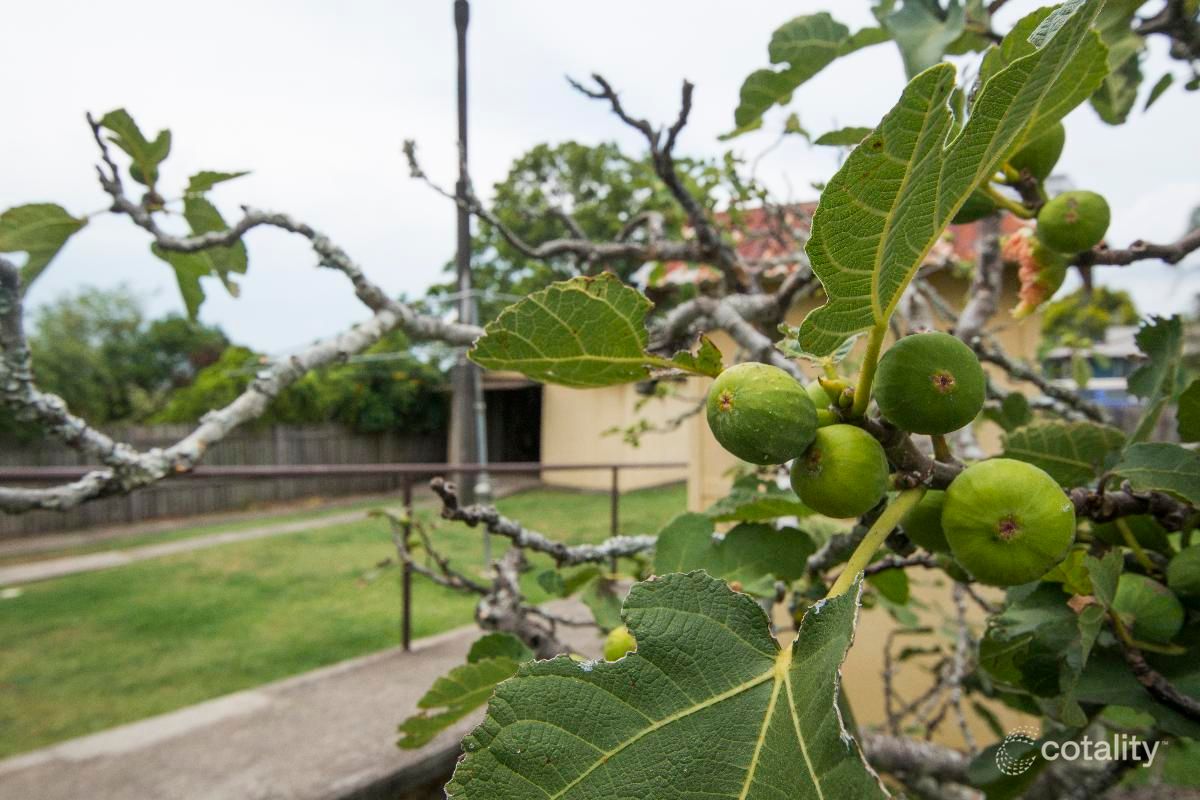 161 Cambridge St, South Grafton, NSW 2460