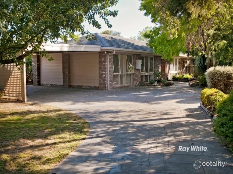 19 Larch St, Langwarrin, VIC 3910