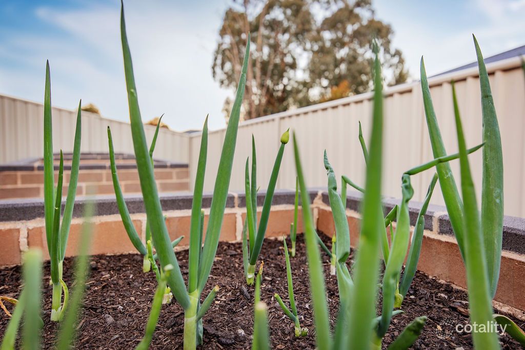 5 Ballyneal Tce, West Wodonga, VIC 3690