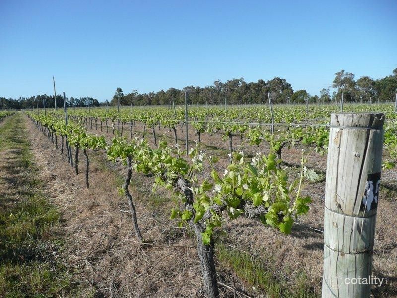 412 Jindong-Treeton Rd, Kaloorup, WA 6280