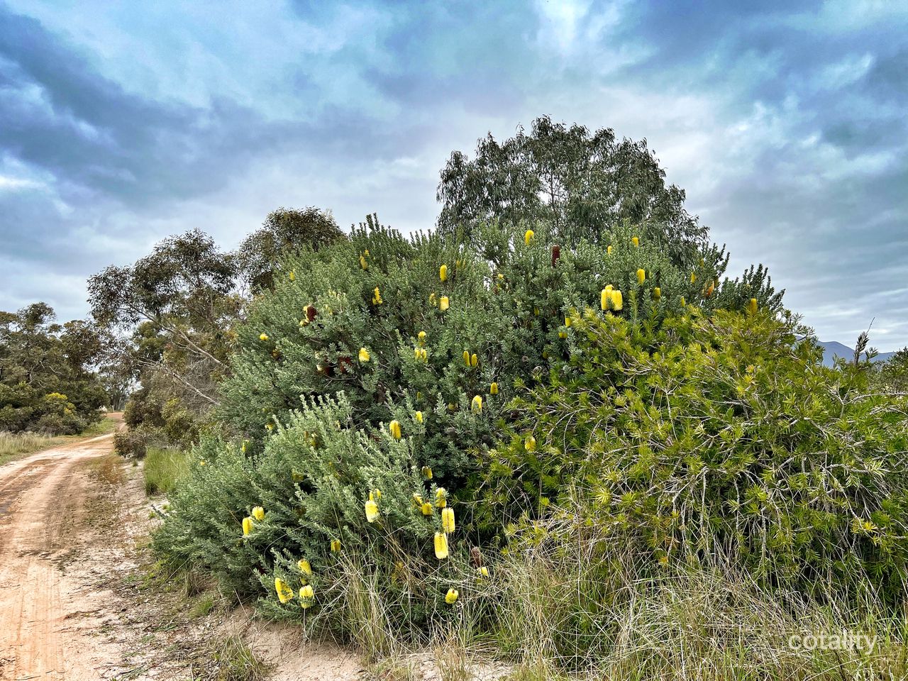 Lot 6 Chester Pass Rd, Amelup, WA 6338