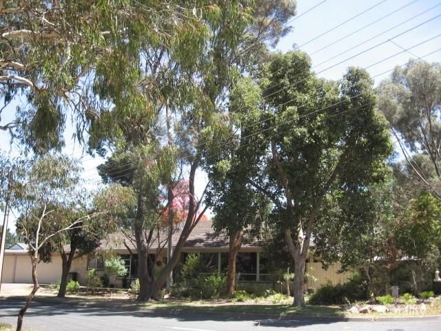 20 Davenport St, Banksia Park, SA 5091