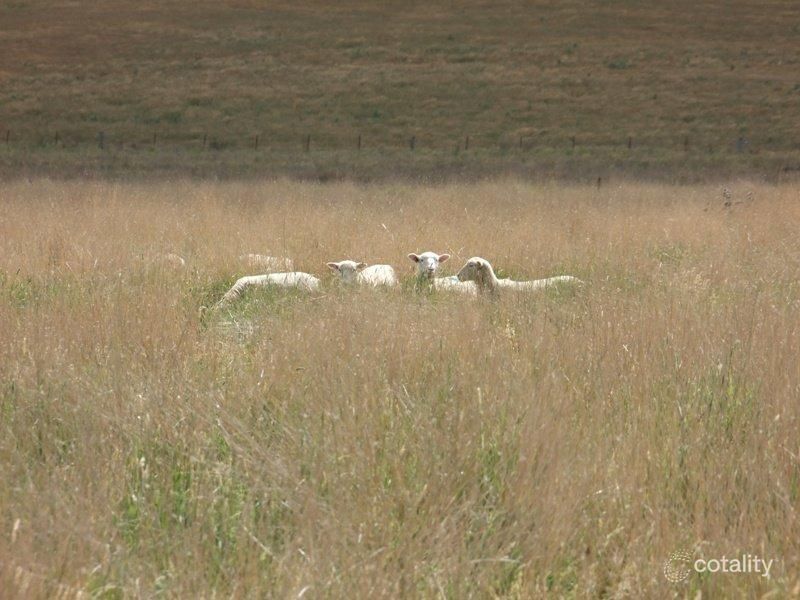 10 Palmer St, Blayney, NSW 2799